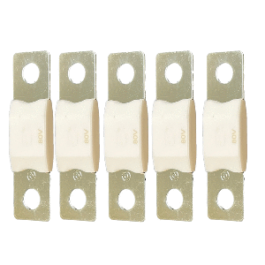 Victron Mega-fuse 250a/80v Package Of 5