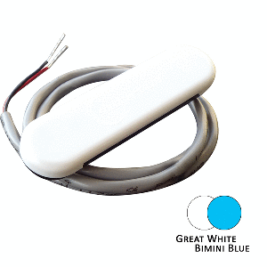Shadow-caster Dual Color Courtesy Light Bimini Blue