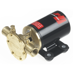Johnson Pump F38b-19 Multi Use Utility Pump 9 Gpm 35 L/min